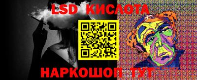 спайс Кингисепп