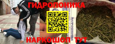 стаф Кандалакша