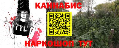 спайс Кингисепп