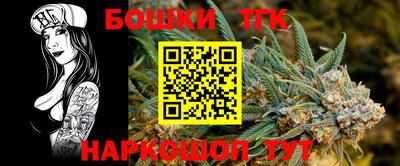 стаф Кандалакша