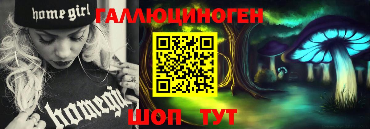 Псилоцибиновые грибы Psilocybe Кострома
